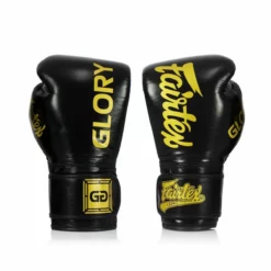 Fairtex BGVG2 Boxing Gloves/X Glory