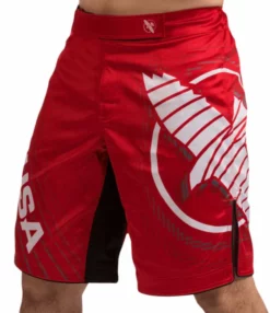 HAYABUSA Chikara 4 Fight Shorts -Hnlfightshop Store s335907598948138341 p128 i5 w912