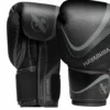 Hayabusa H5 Boxing Gloves