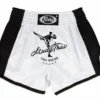 Fairtex BS1707 Muay Thai Shorts