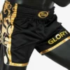 Fairtex BSG1 Muay Thai Shorts