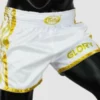 Fairtex BSG2 Muay Thai Shorts