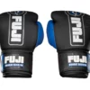 FUJI Precision Boxing Gloves