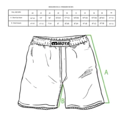 MOYA TEAM MOYA 23 TRAINING SHORT -Hnlfightshop Store s335907598948138341 p1598 i7 w1244