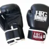 HFG KIDS BOXING GLOVES