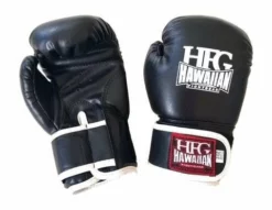 HFG KIDS BOXING GLOVES