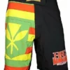 HFG FIGHTSHORTS "SOVERN FLAG"