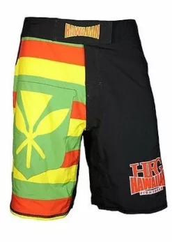 HFG FIGHTSHORTS "SOVERN FLAG"