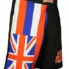 HFG FIGHTSHORTS "HAWN FLAG"