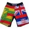 HFG FIGHTSHORTS "TWIN FLAGS"