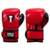 TITLE Boxing Youth Bag Gloves