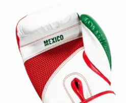 TITLE Infused Foam El Combate Mexico Training Gloves -Hnlfightshop Store s335907598948138341 p404 i4 w1125