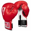 TITLE Classic Kid & Youth Boxing Gloves 2.0