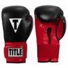 TITLE Infused Foam Youth Training/Sparring Gloves