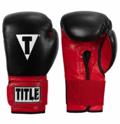 TITLE Infused Foam Youth Training/Sparring Gloves