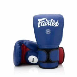 Fairtex BGV13 Coach Sparring Gloves