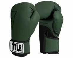 TITLE Boxing Vegan Fitness Boxing Gloves