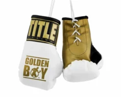 TITLE Golden Boy 5" Mini Boxing Gloves