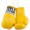 TITLE Ali 5" Mini Boxing Gloves