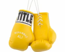 TITLE Ali 5" Mini Boxing Gloves