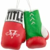 TITLE Oscar De La Hoya 5" Mini Boxing Gloves