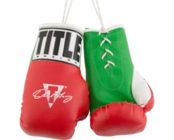 TITLE Oscar De La Hoya 5" Mini Boxing Gloves