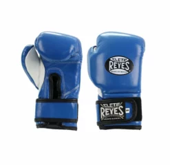 CLETO REYES Kids Boxing Gloves (5 Colors) -Hnlfightshop Store s335907598948138341 p673 i8 w975