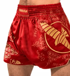 HAYABUSA Falcon Muay Thai Shorts -Hnlfightshop Store s335907598948138341 p743 i3 w975