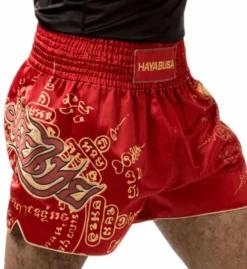 HAYABUSA Falcon Muay Thai Shorts -Hnlfightshop Store s335907598948138341 p743 i4 w975