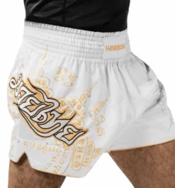 HAYABUSA Falcon Muay Thai Shorts -Hnlfightshop Store s335907598948138341 p743 i7 w993