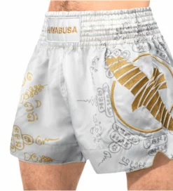 HAYABUSA Falcon Muay Thai Shorts -Hnlfightshop Store s335907598948138341 p743 i8 w977