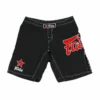 Fairtex AB1 Board Shorts